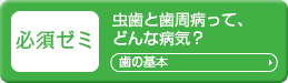 必修ゼミ「歯の基本」
