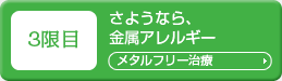 3限目「メタルフリー治療」