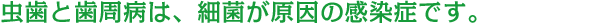虫歯と歯周病は、細菌が原因の感染症です。