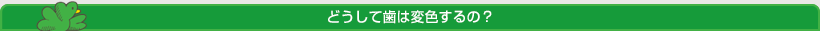 どうして歯は変色するの?