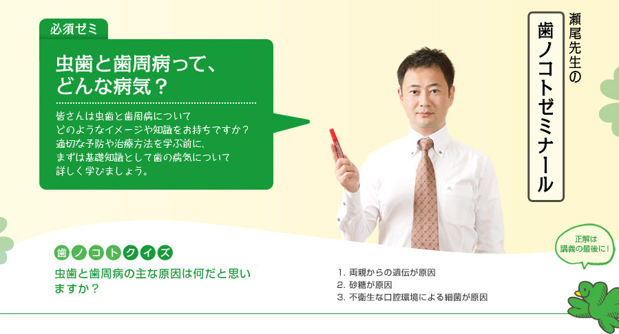 必修ゼミ「歯の基本」| 虫歯と歯周病って、どんな病気?